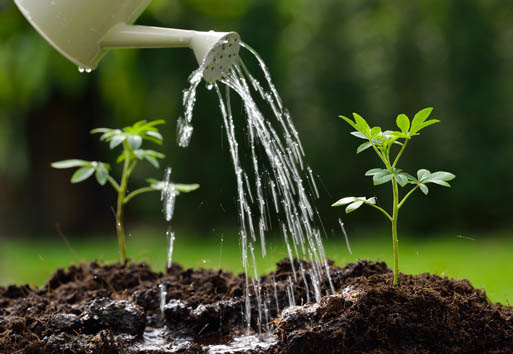 Awesome Video Gallery